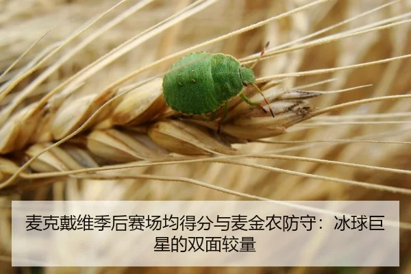 mai-ke-dai-wei-ji-hou-sai-chang-jun-de-fen-yu-mai-jin-nong-fang-shou-bing-qiu-ju-xing-de-shuang-mian-jiao-liang-2-532.jpg
