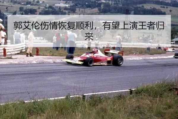 guo-ai-lun-shang-qing-hui-fu-shun-li-you-wang-shang-yan-wang-zhe-gui-lai-3-433.jpg